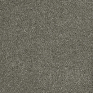 Dreamweaver Carpet Malibu III Havana Carpet 3760_330
