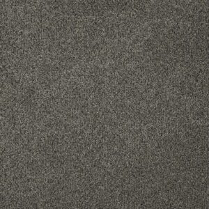 Dreamweaver Carpet Malibu III Smoky Quartz Carpet 3760_418