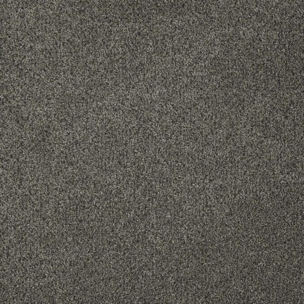 Dreamweaver Carpet Malibu III Smoky Quartz Carpet 3760_418