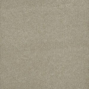 Dreamweaver Carpet Malibu III Oak Barrel Carpet 3760_430