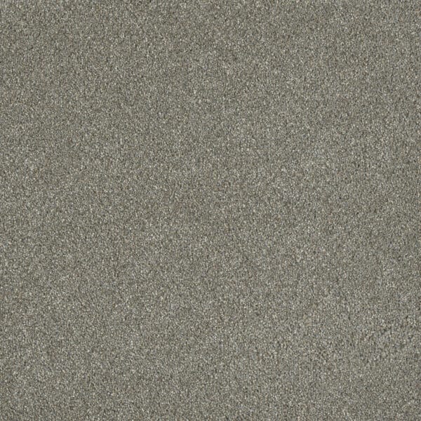 Dreamweaver Carpet Malibu II Ancient Marble Carpet 3750_473