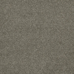 Dreamweaver Carpet Malibu III Cinnamon Tea Carpet 3760_528