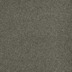 Dreamweaver Carpet Malibu III Baltic Birch Carpet 3760_622