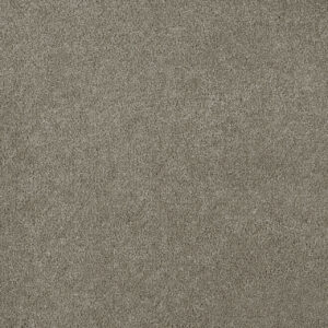 Dreamweaver Carpet Malibu III Soft Leather Carpet 3760_861