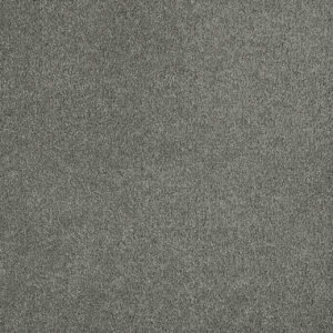 Dreamweaver Carpet Malibu III Dark Platinum Carpet 3760_889