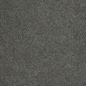 Dreamweaver Carpet Malibu III Pavilion Carpet 3760_958