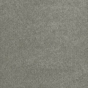 Dreamweaver Carpet Malibu III Shamrock Carpet 3760_973
