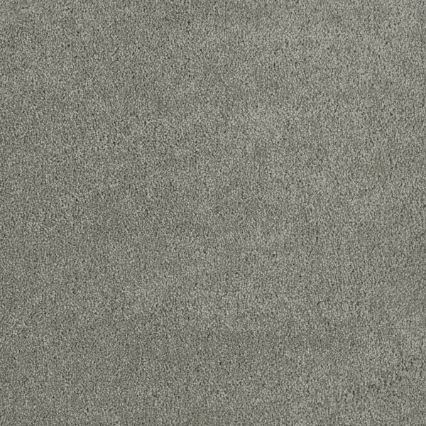Dreamweaver Carpet Malibu III Shamrock Carpet 3760_973