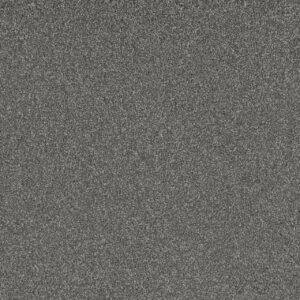 Dreamweaver Carpet No Limits I Sparkle Carpet 9337_4002