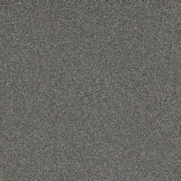 Dreamweaver Carpet No Limits I Sparkle Carpet 9337_4002