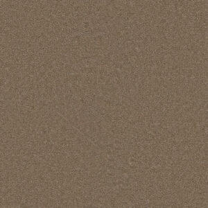 Dreamweaver Carpet Star Struck Cashew Carpet 4032_530