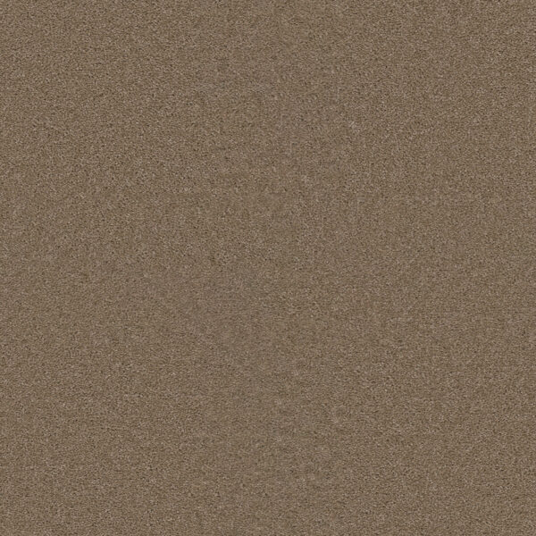 Dreamweaver Carpet Star Struck Cashew Carpet 4032_530