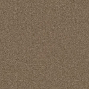 Dreamweaver Carpet Star Struck Bamboo Carpet 4032_565