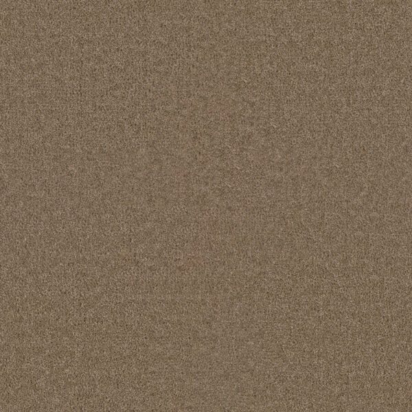 Dreamweaver Carpet Star Struck Bamboo Carpet 4032_565
