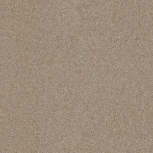 Dreamweaver Carpet Star Struck Sawgrass Carpet 4032_701