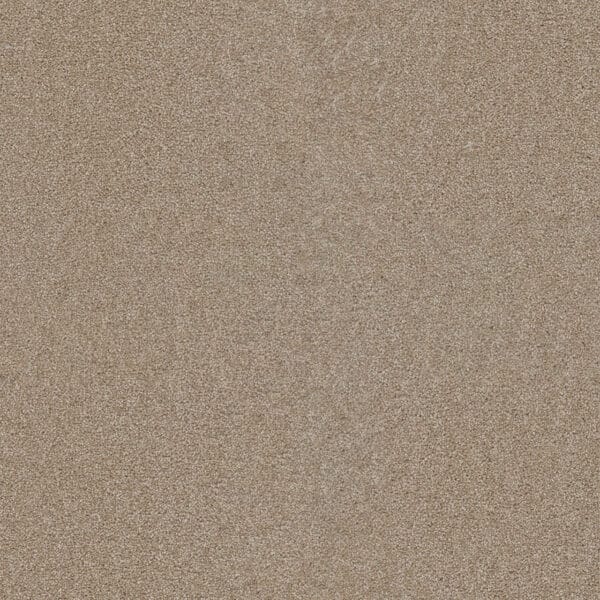 Dreamweaver Carpet Star Struck Sawgrass Carpet 4032_701
