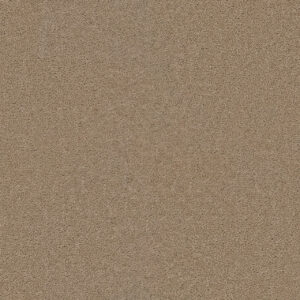 Dreamweaver Carpet Star Struck Sand Carpet 4032_710