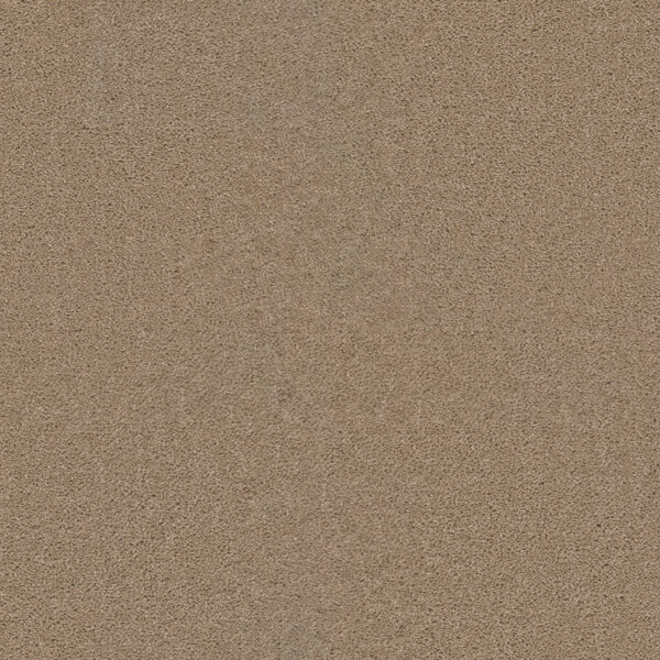 Dreamweaver Carpet Star Struck Sand Carpet 4032_710