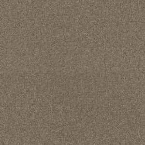 Dreamweaver Carpet Star Struck Quail Carpet 4032_725