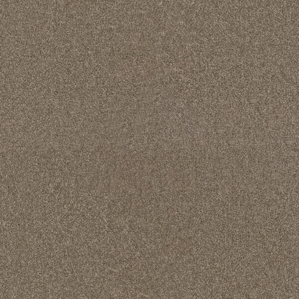 Dreamweaver Carpet Star Struck Quail Carpet 4032_725