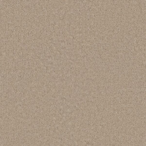 Dreamweaver Carpet Star Struck Ivory Carpet 4032_730