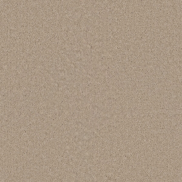 Dreamweaver Carpet Star Struck Ivory Carpet 4032_730