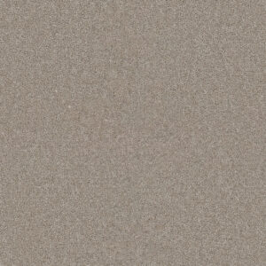 Dreamweaver Carpet Star Struck Parchment Carpet 4032_744