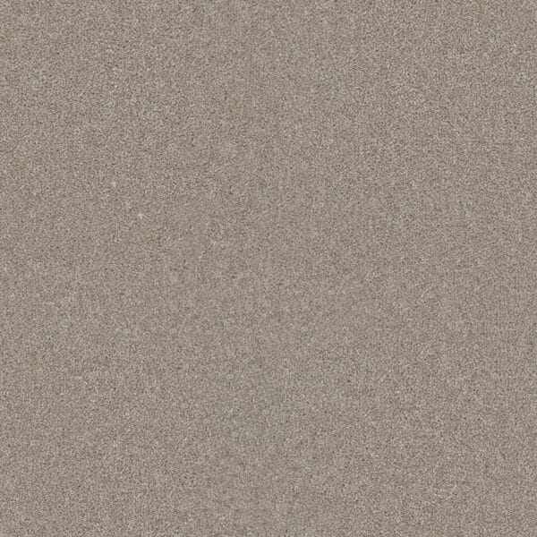 Dreamweaver Carpet Star Struck Parchment Carpet 4032_744