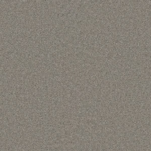Dreamweaver Carpet Star Struck Dove Carpet 4032_800
