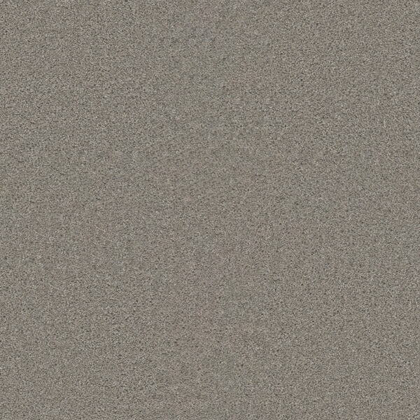 Dreamweaver Carpet Star Struck Dove Carpet 4032_800