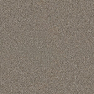 Dreamweaver Carpet Star Struck Iron Frost Carpet 4032_815