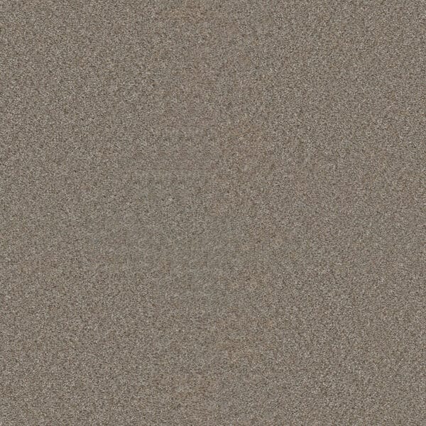 Dreamweaver Carpet Star Struck Iron Frost Carpet 4032_815