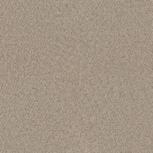 Dreamweaver Carpet Star Struck Linen Carpet 4032_824