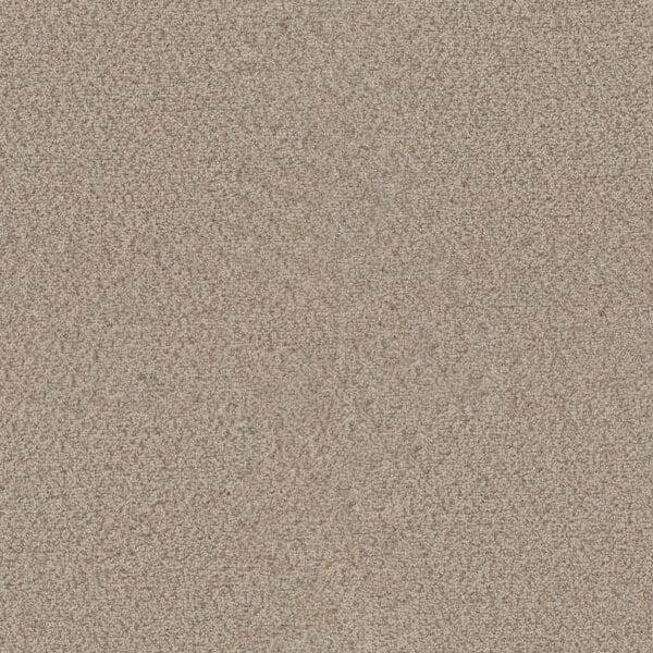 Dreamweaver Carpet Star Struck Linen Carpet 4032_824