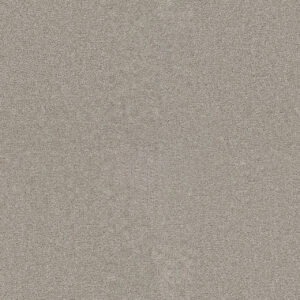 Dreamweaver Carpet Star Struck Silver Lining Carpet 4032_830