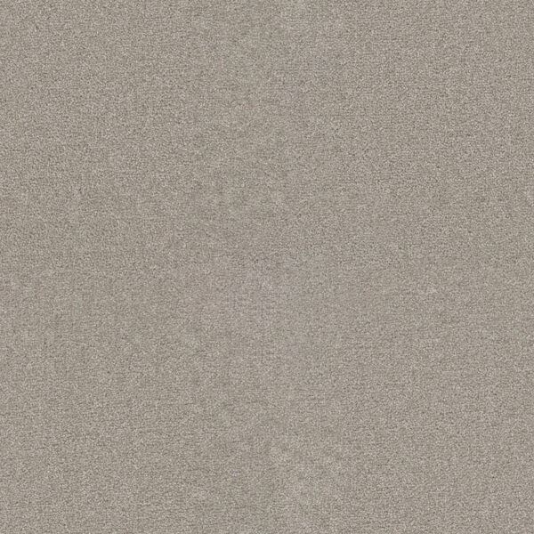 Dreamweaver Carpet Star Struck Silver Lining Carpet 4032_830