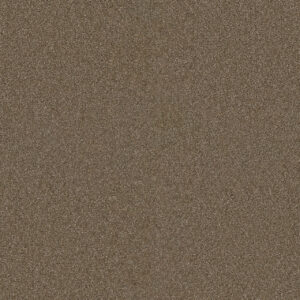 Dreamweaver Carpet Star Struck Acorn Carpet 4032_858