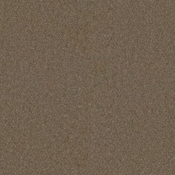 Dreamweaver Carpet Star Struck Acorn Carpet 4032_858