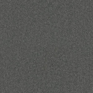 Dreamweaver Carpet Star Struck Pewter Carpet 4032_890