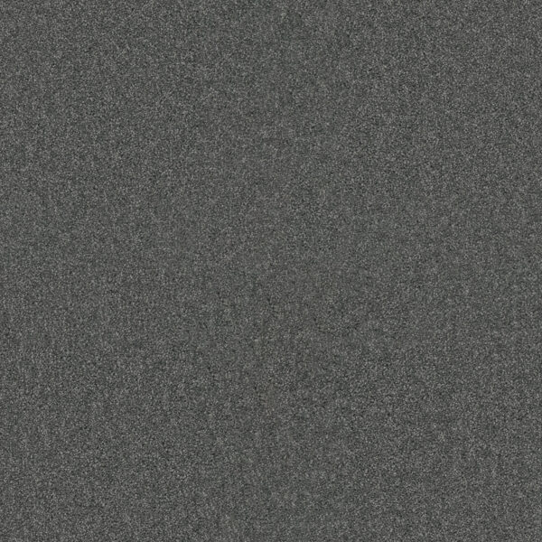 Dreamweaver Carpet Star Struck Pewter Carpet 4032_890