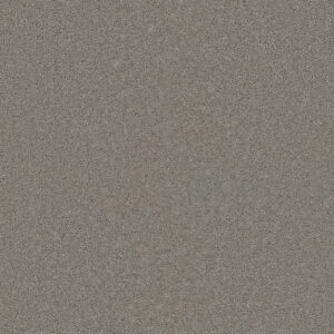 Dreamweaver Carpet Star Struck Chrome Carpet 4032_927