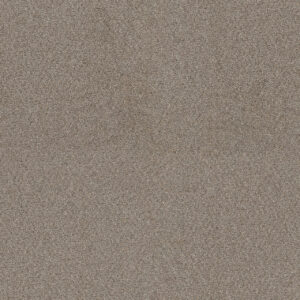 Dreamweaver Carpet Star Struck Ash Carpet 4032_945