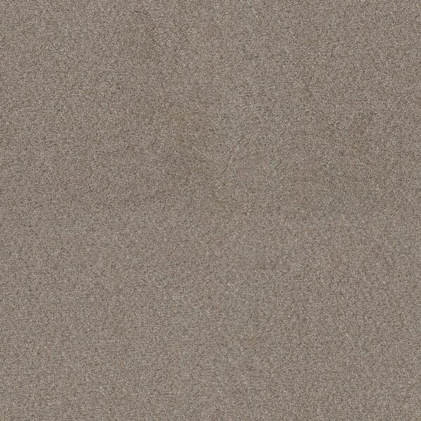Dreamweaver Carpet Star Struck Ash Carpet 4032_945