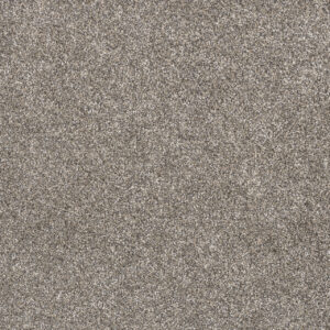 Dreamweaver Carpet Gold Standard III Note Carpet 4066_2057