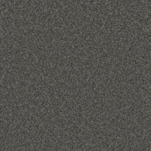 Dreamweaver Carpet Gold Standard III Mica Carpet 4066_2185