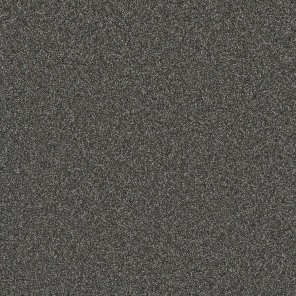 Dreamweaver Carpet Gold Standard III Mica Carpet 4066_2185