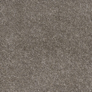 Dreamweaver Carpet Gold Standard III Pewter Carpet 4066_2316