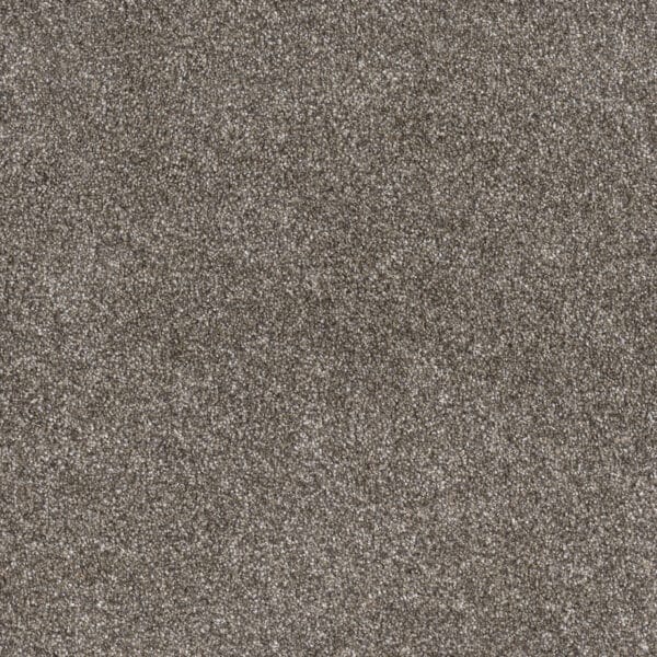 Dreamweaver Carpet Gold Standard III Pewter Carpet 4066_2316