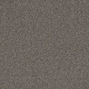 Dreamweaver Carpet Gold Standard III Graphite Carpet 4066_2330