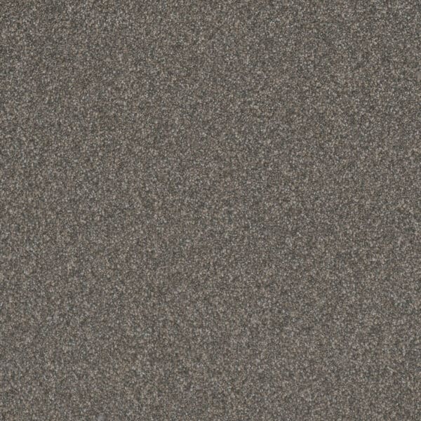 Dreamweaver Carpet Gold Standard III Graphite Carpet 4066_2330